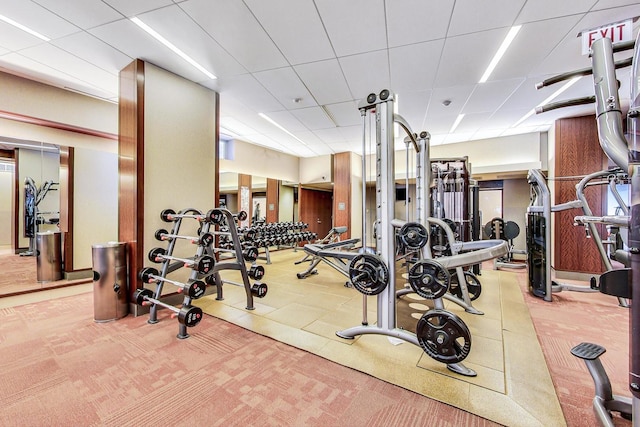 gym featuring light colored carpet and a drop ceiling