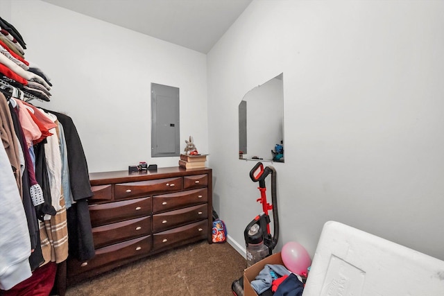 spacious closet featuring electric panel and dark carpet