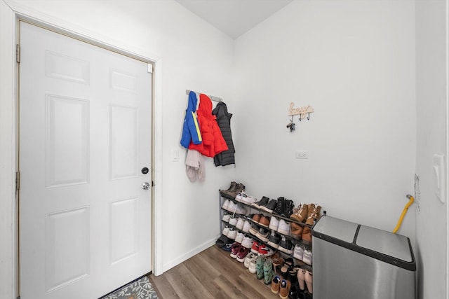 mudroom with hardwood / wood-style flooring