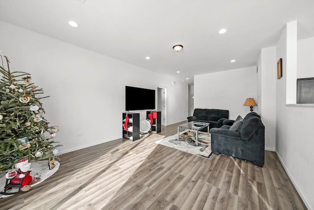 living room featuring light wood-type flooring