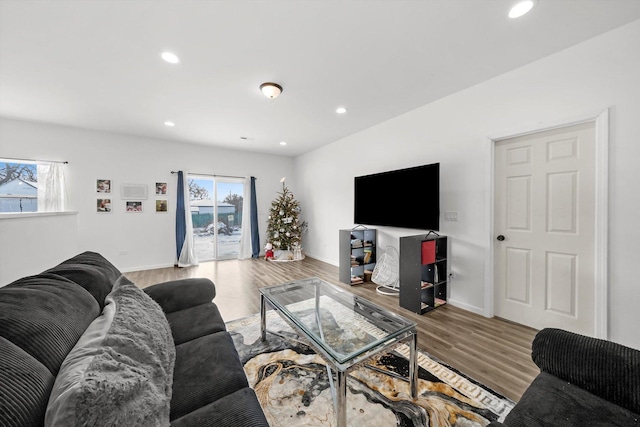 living room featuring hardwood / wood-style floors