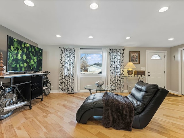 living room with hardwood / wood-style floors