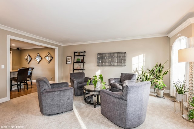 carpeted living room with crown molding