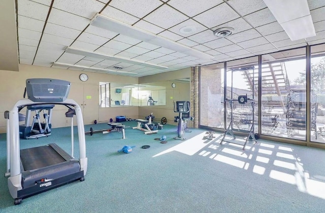 exercise room with carpet flooring and floor to ceiling windows