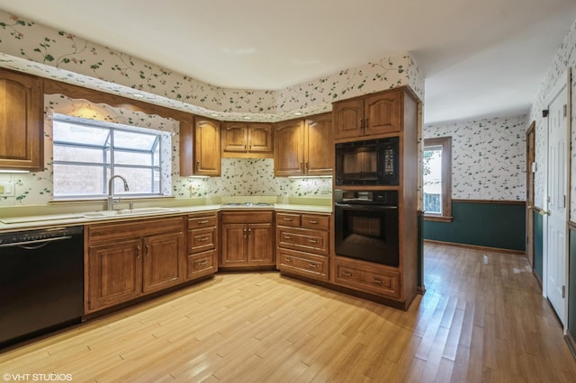 kitchen featuring black appliances, light wood-type flooring, and sink