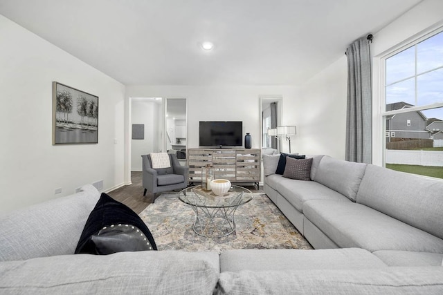 living room with hardwood / wood-style floors