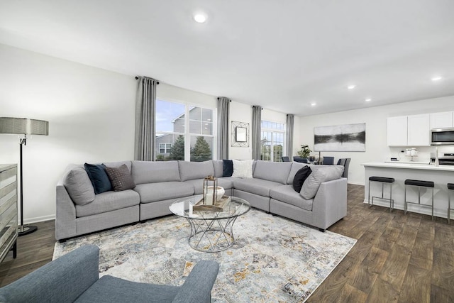 living room with dark hardwood / wood-style flooring