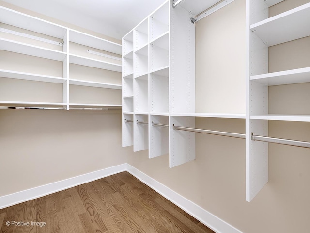 spacious closet featuring hardwood / wood-style floors