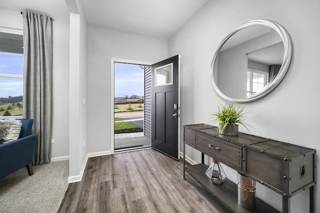 entrance foyer with wood-type flooring