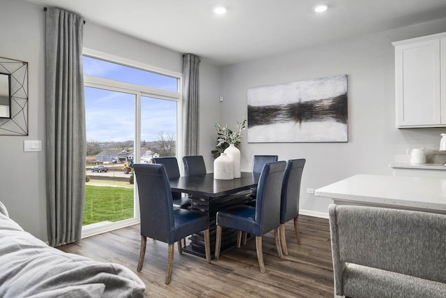 dining room featuring dark wood-type flooring