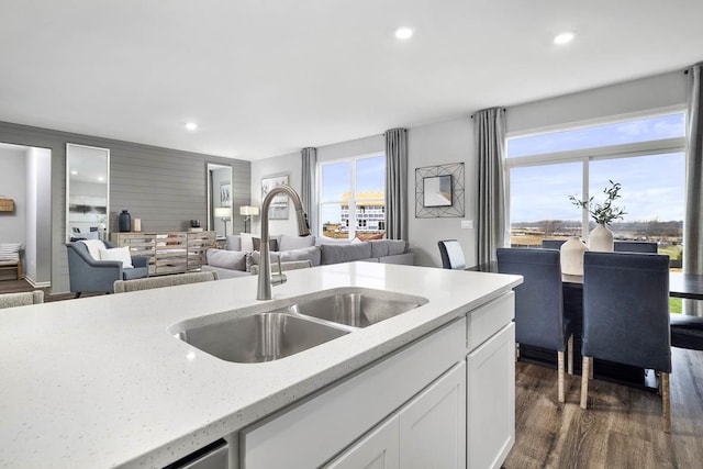 kitchen featuring sink, dark hardwood / wood-style flooring, white cabinetry, and light stone counters