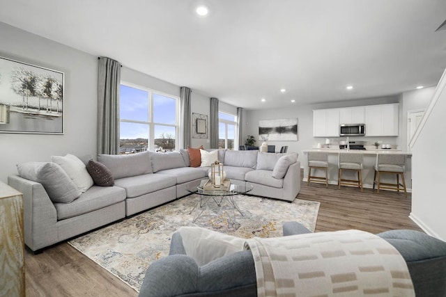 living room featuring dark hardwood / wood-style flooring