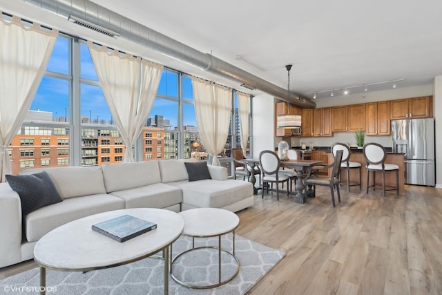 living room with light hardwood / wood-style floors and plenty of natural light