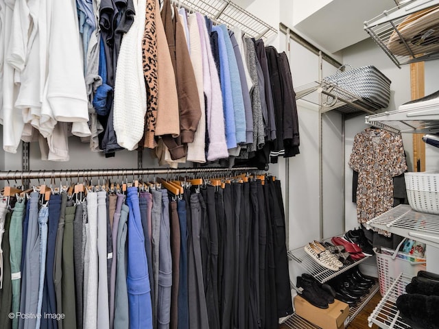 view of spacious closet