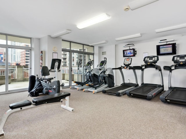 gym with a wall of windows and carpet floors