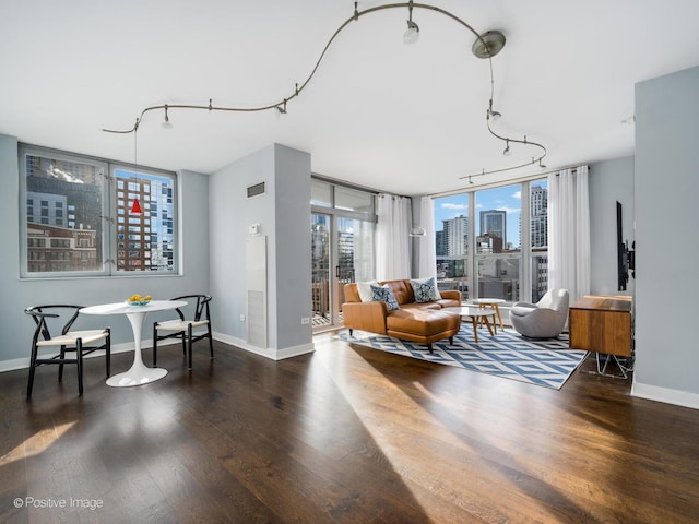 living room with dark wood-type flooring