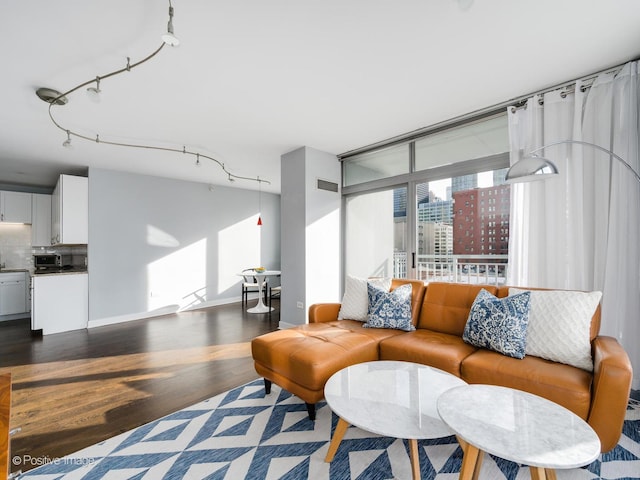 living room with floor to ceiling windows and dark hardwood / wood-style flooring