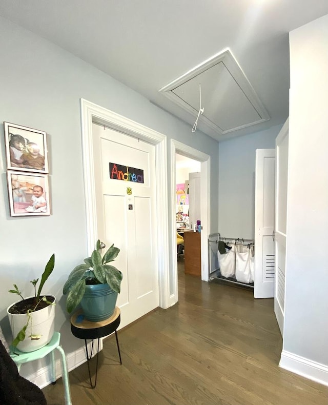 hall featuring dark hardwood / wood-style flooring