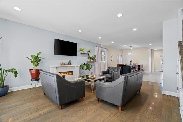 living room with wood-type flooring