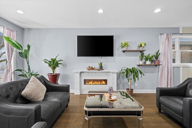 living room featuring dark wood-type flooring