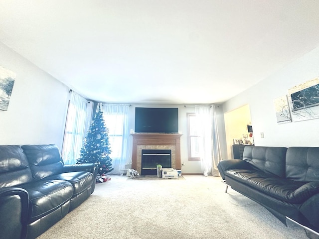 living room with carpet floors and a healthy amount of sunlight