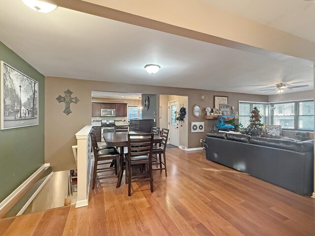 dining area with ceiling fan and light hardwood / wood-style flooring