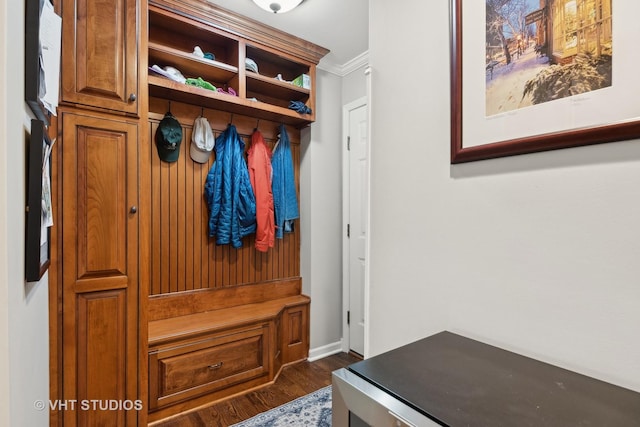 mudroom featuring crown molding and dark wood-type flooring