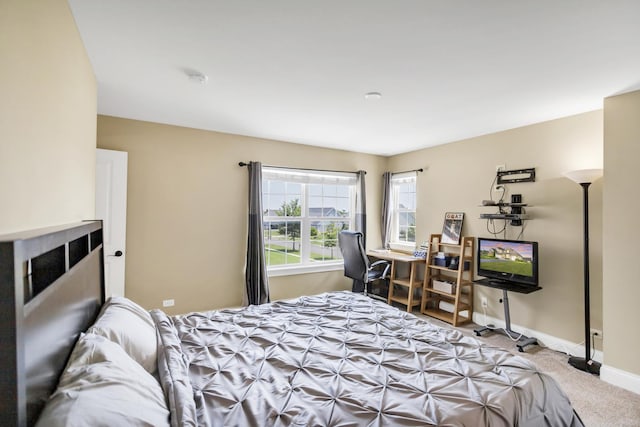 bedroom with carpet flooring