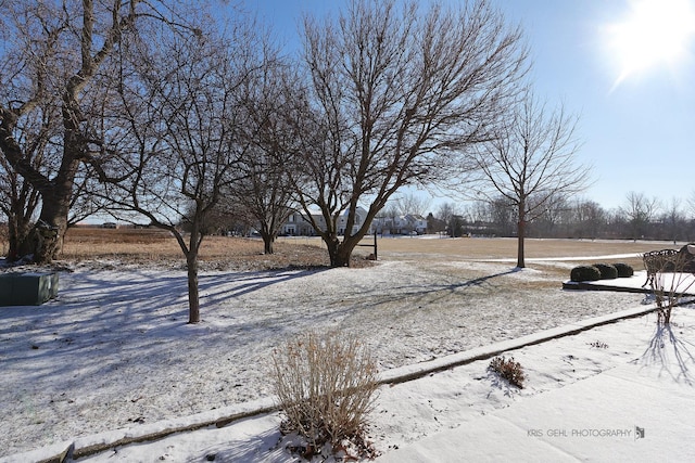 view of yard covered in snow