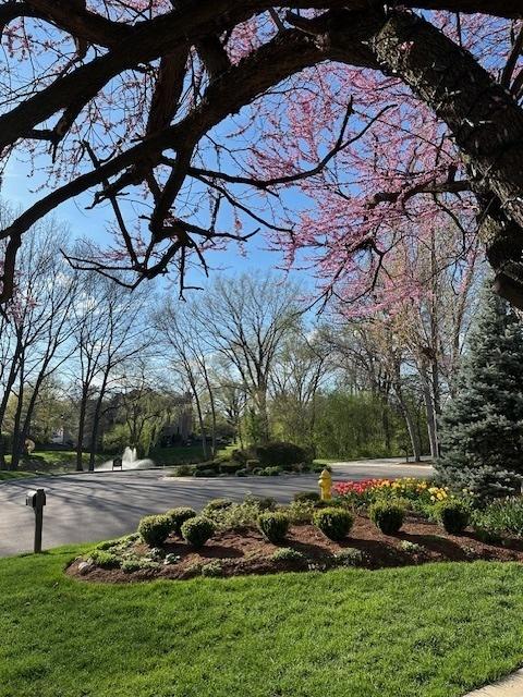 view of home's community with a yard