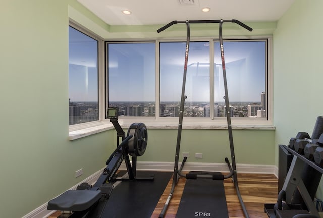 workout room featuring a wealth of natural light and dark wood-type flooring