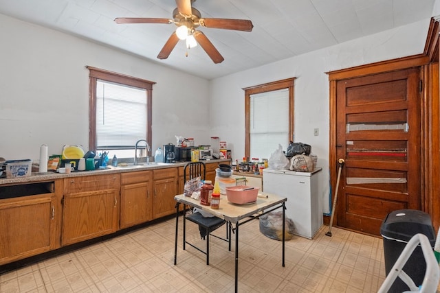 kitchen with sink, ceiling fan, and fridge