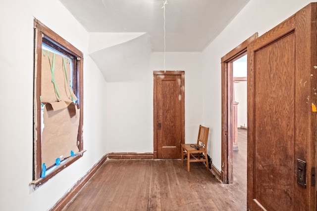 hallway featuring wood-type flooring