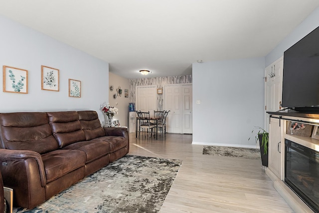 living room with light hardwood / wood-style flooring