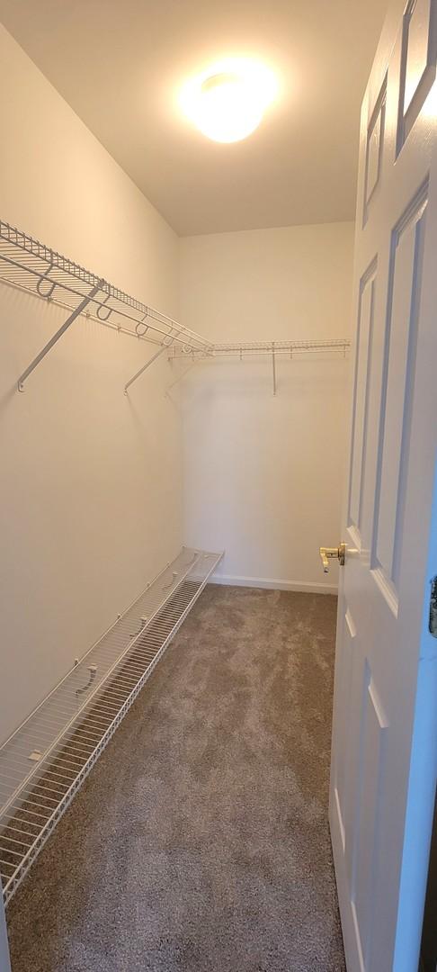 walk in closet with dark colored carpet