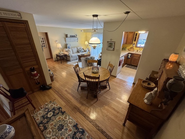 dining space with light hardwood / wood-style flooring