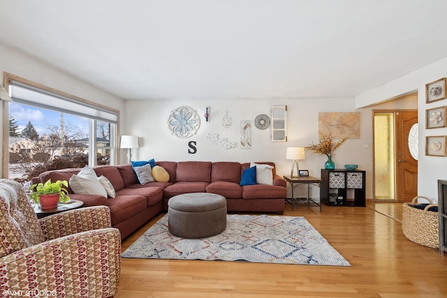 living room with hardwood / wood-style flooring