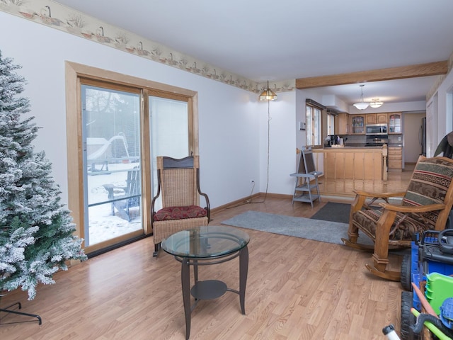 living area featuring light hardwood / wood-style floors