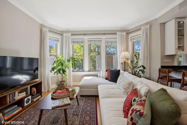 living room featuring ornamental molding and hardwood / wood-style floors