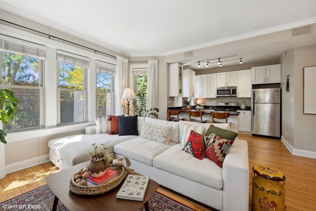 living room with ornamental molding, light hardwood / wood-style floors, and a wealth of natural light