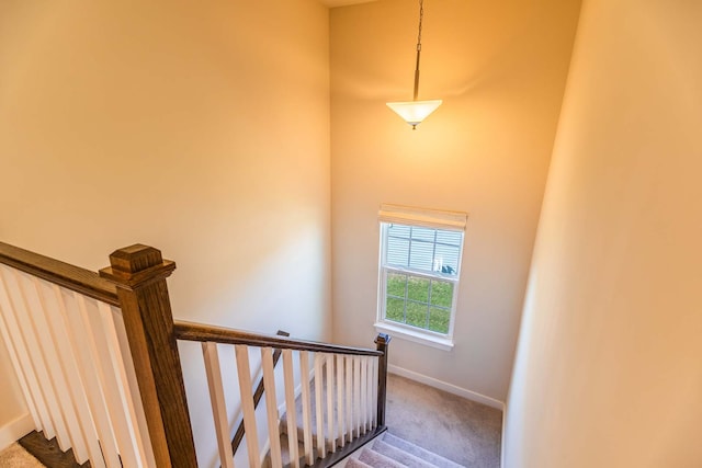 stairs with carpet floors