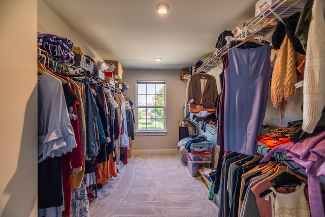 spacious closet with carpet floors