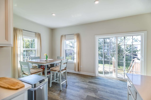 dining room with dark hardwood / wood-style flooring