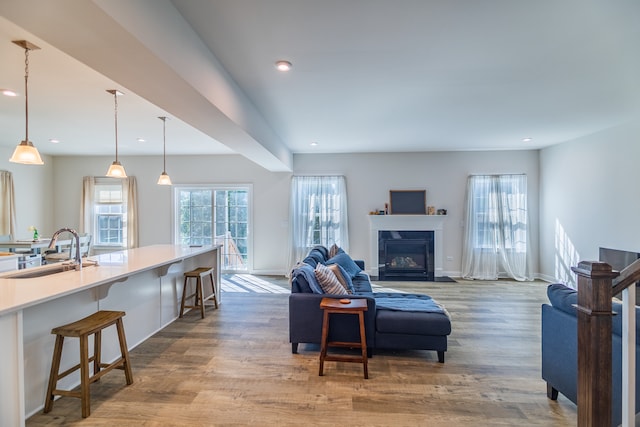 living room featuring sink and hardwood / wood-style floors