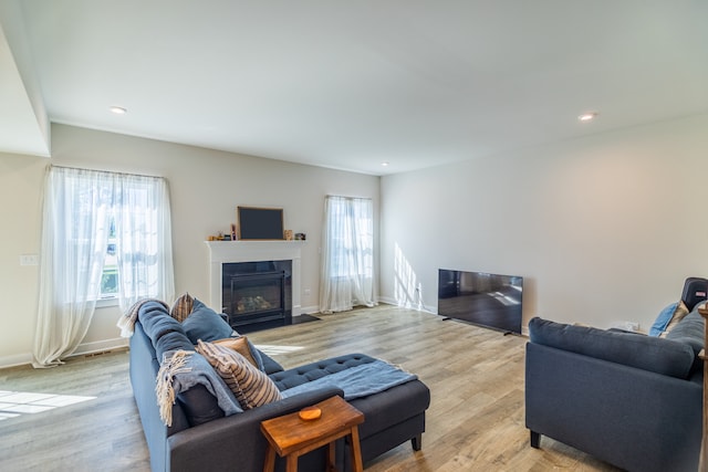 living room with light wood-type flooring