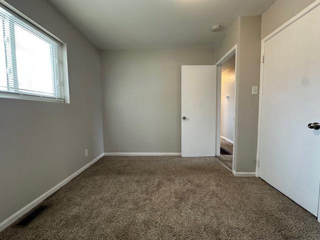 spare room with carpet floors