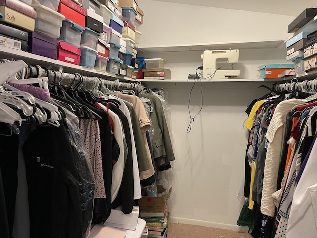 walk in closet featuring vaulted ceiling and carpet flooring