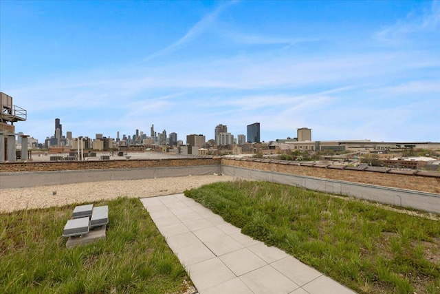 2545 S Dearborn St Unit 508, Chicago, IL 60616 - view of yard featuring a skyline view