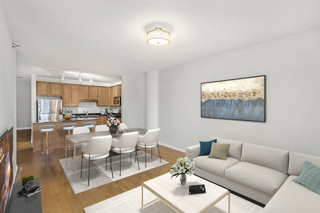 living room featuring track lighting, light hardwood / wood-style floors, and sink