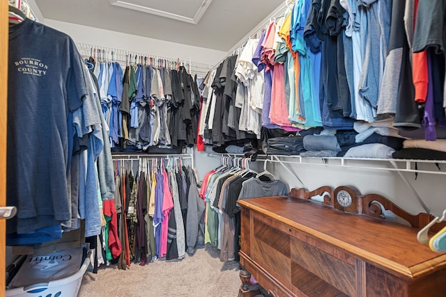 walk in closet featuring carpet floors